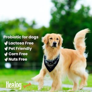 healog probiotico 6